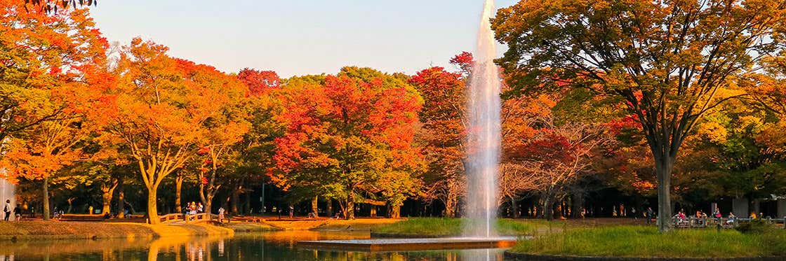 Parc Yoyogi