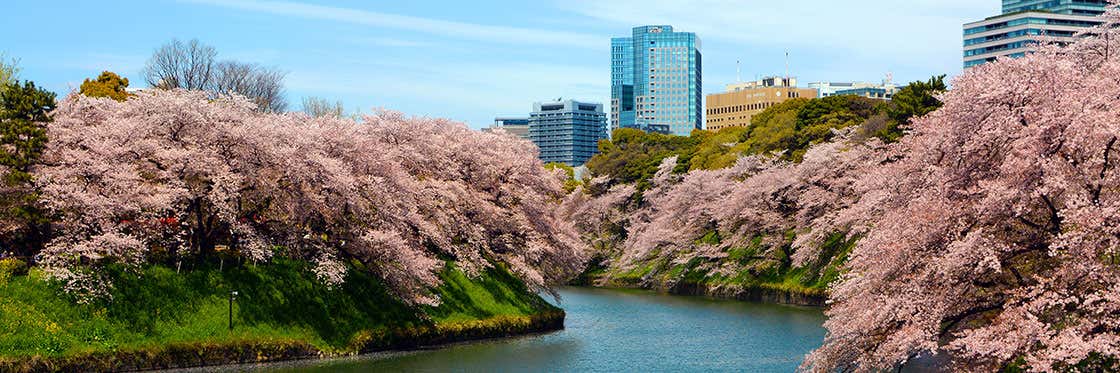 Le climat à Tokyo